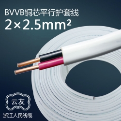 純銅 BVVB2芯2.5平方護(hù)套線(xiàn)明線(xiàn) 100米/卷