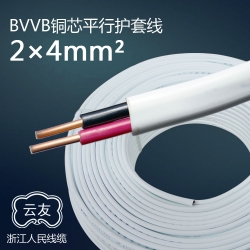 BVVB2芯4平方護(hù)套線明線 100米/卷